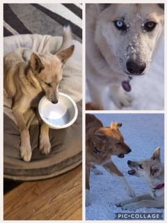 26805141_10154959413772273_7191509889997336003_n