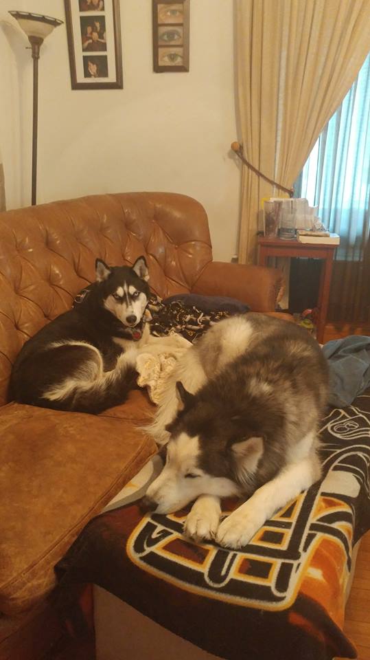 28166454_10155047055362273_4938429935533924993_n