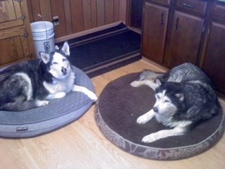 30724622_10155163136732273_9016035727451527821_n