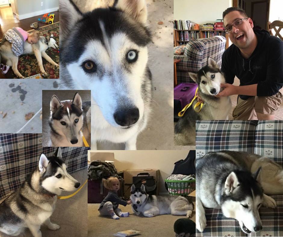 35628582_829533773924490_3215211070381621248_n